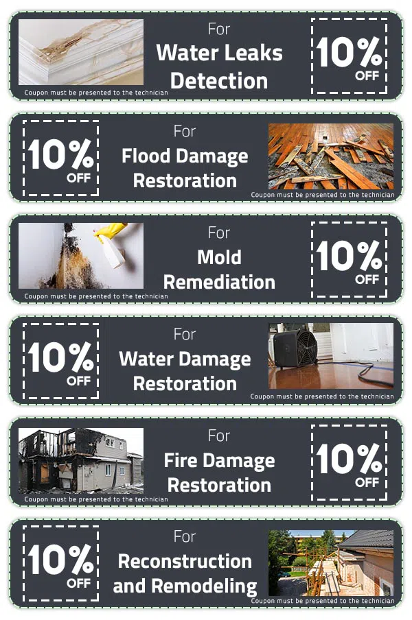 Delray Beach Restoration Expert Delray Beach, FL 561-327-9799 Delray Beach Restoration Expert Delray Beach, FL 561-327-9799 - coupons-set-5
