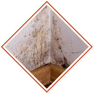 Delray Beach Restoration Expert Delray Beach, FL 561-327-9799 - sb-ser-03