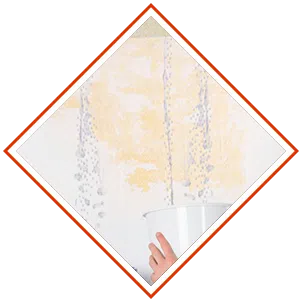 Delray Beach Restoration Expert Delray Beach, FL 561-327-9799 - sb-ser-04